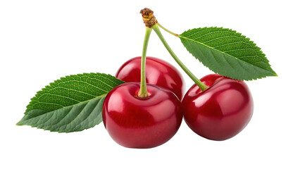 cherry isolated png sour cherry with leaf on white or transparent background perfect retouched three cherries with leaves no background png cherry full depth of field