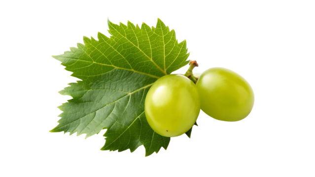 green grape with leaves isolated on white with clipping path f