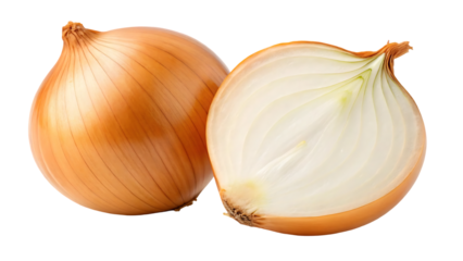 onion bulbs isolated whole golden onion bulb and a half on white background onion set full depth of field with clipping path