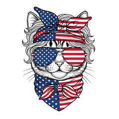 Patriotic cat wearing american flag bandana and sunglasses