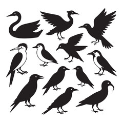 Naklejka premium Minimalist Bird Silhouettes Collection – Clean Black Shapes of Diverse Bird Species, Art & Illustration