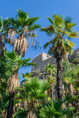 Fototapete bei efototapeten.de bestellen   