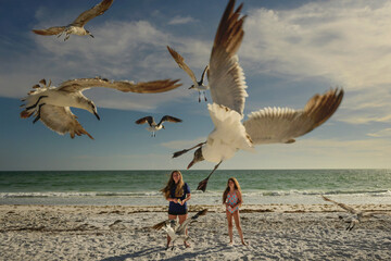 Teenage sisters feeding seagulls on beach Anna Maria Island Vaca