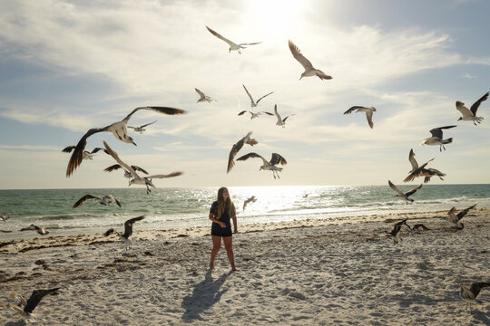Teenage girl feeding seagulls on beach Anna Maria Island