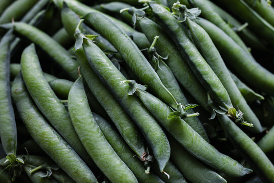 Green pea pods after harvesting