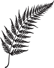 Naklejka premium 8 Fern Leaf Silhouette Bundle