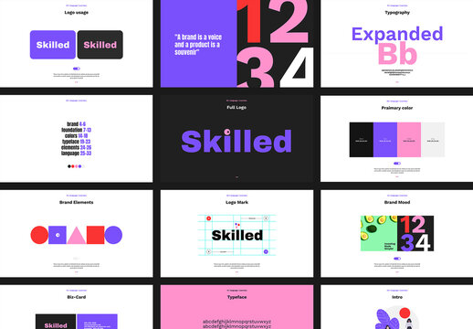 Skilled Brand Guidelines With Color full Layout