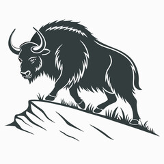 vector illustration of a black bear