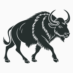 bull on white background