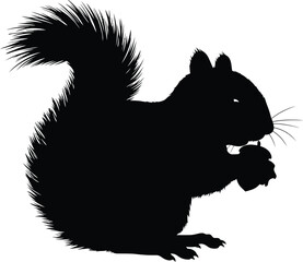 Cute Squirrel Eating Acorn Silhouette