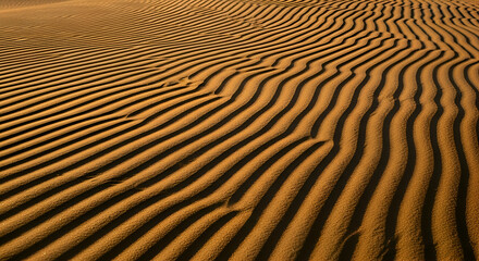 Sand dune ripples creating a textured desert landscape background 