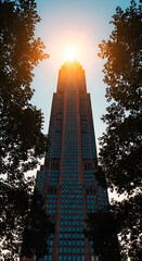 Modern skyscraper with sunlight at the top framed by trees