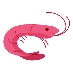 Cute Doodle Sea Creature Shrimp