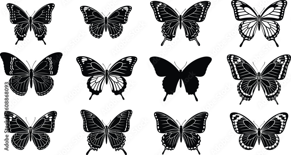 Poster vector art of a collection of twelve butterfly silhouettes are displayed against a, each with unique