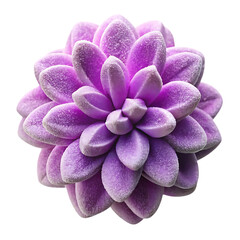 Purple Flocked Succulent Plant Close-Up: Decorative Artificial Succulent, Faux Floral Arrangement, Home Decor, Isolated on White Background