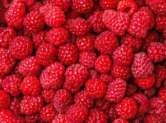 raspberry scattered background