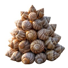 A captivating stack of intricately patterned seashells, isolated on white background