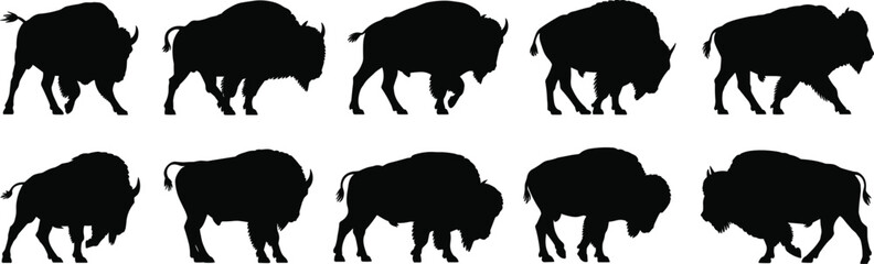 Untitled-31 [Recovered]