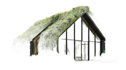 Modern house green roof architectural design