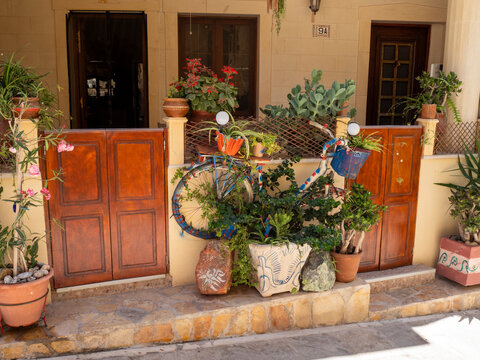 Fototapeta flowers in pots on the porch