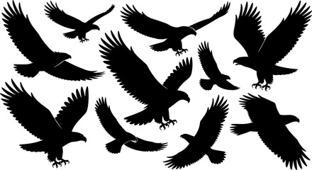 Obraz premium Set of Flying Eagle Silhouettes – Bird in Flight Vector Design Isolated on White Background