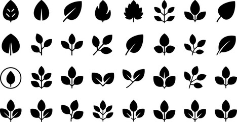 Fototapeta premium Leaves and Branches Vector Set – Minimal Botanical Silhouettes Collection