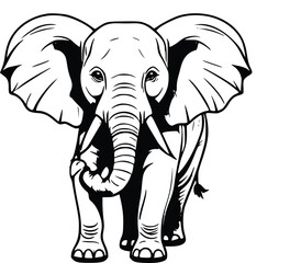 Obraz premium African elephant 