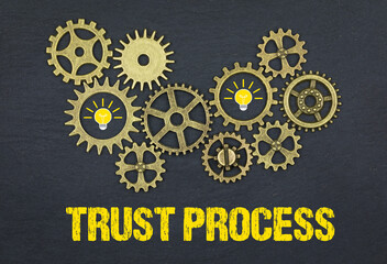 Trust Process	
