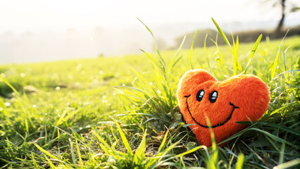 heart in the grass background, morning view,
