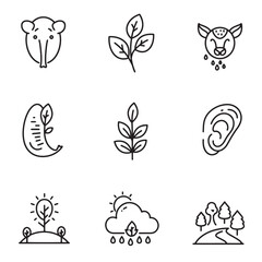 Obraz premium Simple and clean line art illustrations featuring nature and natural elements in modern style
