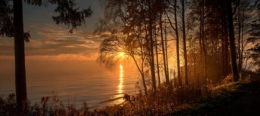 Golden morning sun rises above calm sea, framed by soft silhouettes of whispering trees