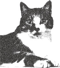 Cat retro y2k stipple design feline halftone brutalist urban vector png with clear background, kitten 2000s photocopy grunge tattoo gen z effect