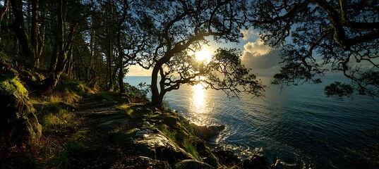 Golden morning sun rises above calm sea, framed by soft silhouettes of whispering trees