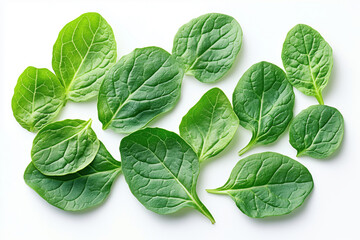 Fototapeta premium Top view of a stack of fresh spinach leaves spread out, detailed texture, vibrant green color, isolated on a white background.