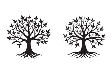 Fototapeta premium wide rooted oak tree silhouette set bundle on white backgound