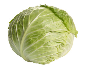 Fototapeta premium Crisp and Refreshing Cabbage Head with Vibrant Green Leaves Isolated Against a Black Backdrop for Culinary Projects