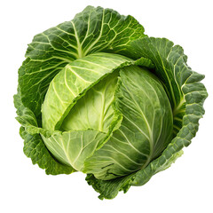 Obraz premium Fresh Green Cabbage Head Close Up Isolated Against Black Backdrop Featuring Crisp Leaves and Intricate Vein Patterns