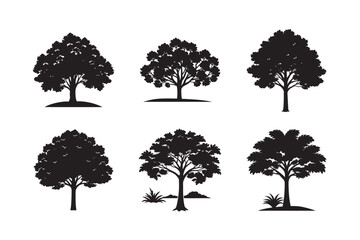 Fototapeta premium silhouette old teak tree set bundle on white background