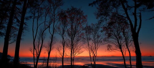 Early dawn paints ocean horizon in golden hues, framed gently by quiet forest trees
