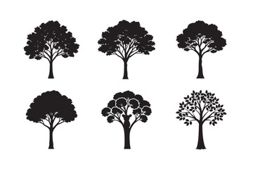 silhouette eucalyptus tree with koala set bundle on white backgound