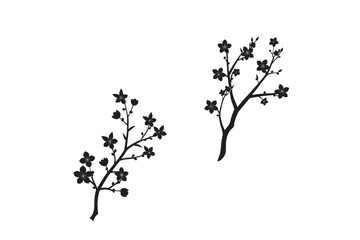 silhouette branch of cherry tree with flowers set.