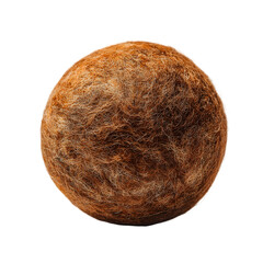 Close up of a textured round brown object with rough surface detail isolated on transparent background