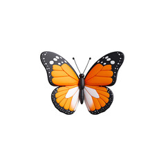 Beautiful colorful butterfly on white background.
