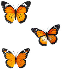 Beautiful colorful butterfly on white background.
