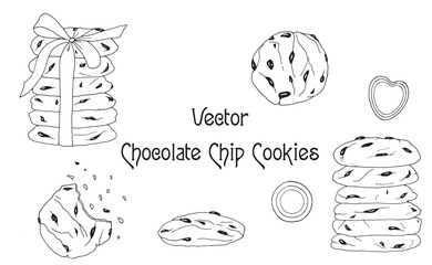 Vector hand drawn set of chocolate chip cookie isolated on whitebackground. Gingerbread cookies with a  bow. Hand drawn doodle illustration. National Chocolate Chip Cookie day.