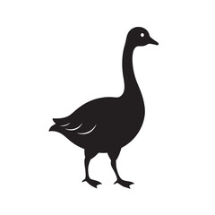 Goose Walking With Graceful Posture Art