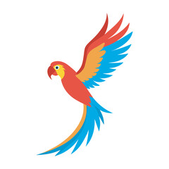 Macaw Flying With Long Tail Spread