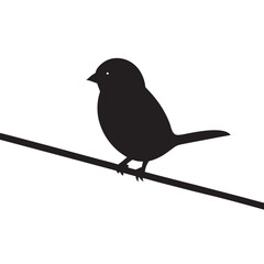 Sparrow Sitting Still On Hanging Wire