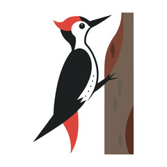 Woodpecker Tapping Tree Trunk Silhouette
