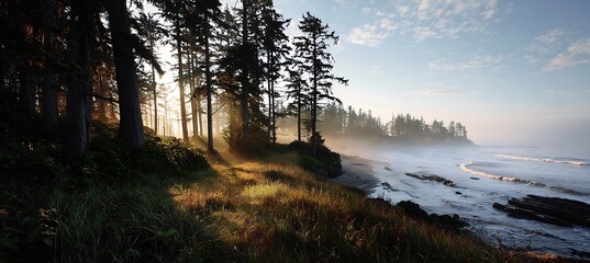 Tranquil morning light touching forest edge and still sea, a serene coastal view
